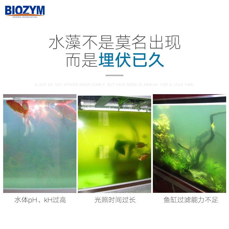 魚缸kh低怎么辦：魚缸kh低怎么辦詳情 魚缸百科 第2張