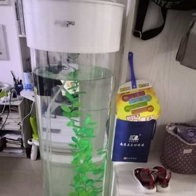 家樂廚魚缸怎么樣：家樂廚魚缸與其他品牌對比，家樂廚魚缸的日常維護方法