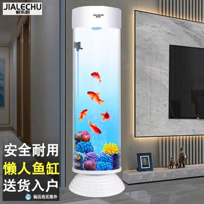 家樂廚魚缸怎么樣：家樂廚魚缸與其他品牌對比，家樂廚魚缸的日常維護方法