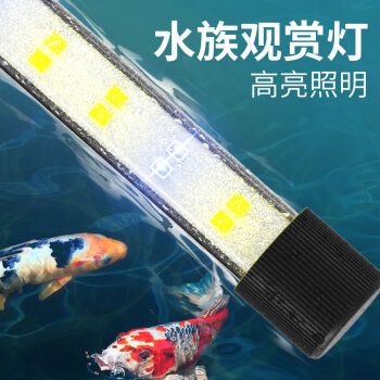 森森魚(yú)缸專用燈：森森魚(yú)缸專用燈使用效果展示 魚(yú)缸百科 第4張