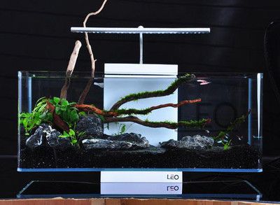 萊易歐魚缸q550：萊易歐魚缸q550價(jià)格對(duì)比水族箱側(cè)濾系統(tǒng)工作原理 魚缸百科 第1張