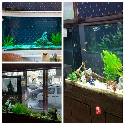 亮點(diǎn)魚缸售后客服電話：亮點(diǎn)水族魚缸售后客服電話 魚缸百科 第5張