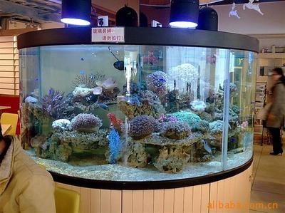 魚缸批發(fā)廠家電話：魚缸批發(fā)廠家及其聯(lián)系電話的詳細(xì)信息及其聯(lián)系電話的詳細(xì)信息 魚缸百科 第2張