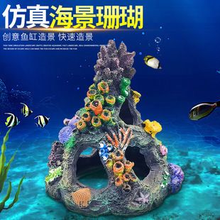 魚缸珊瑚造景：如何通過魚缸珊瑚造景提升觀賞體驗和水質環(huán)境 魚缸百科 第4張