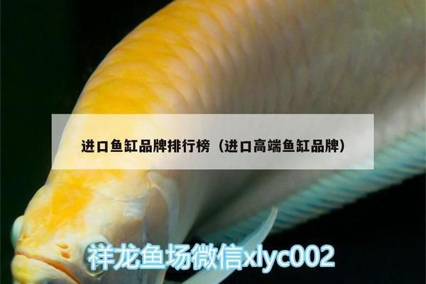 高端魚缸有哪些牌子的好：知名的高端魚缸品牌 魚缸百科 第5張