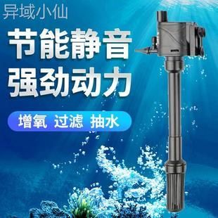 給魚缸供氧氣設(shè)備叫啥？：如何正確維護魚缸增氧機,魚缸增氧機工作原理詳解 魚缸百科 第4張