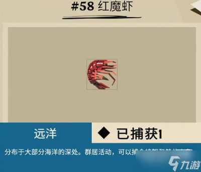 紅魔王銀版魚專用藥物選擇：紅魔王銀版魚專用藥物 龍魚百科 第5張