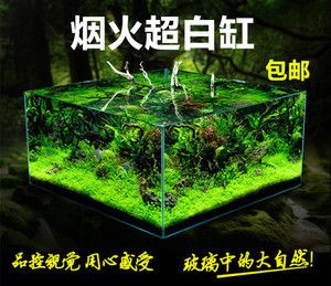 金晶魚缸哪里生產的：標題:金晶魚缸產地分析 魚缸百科 第5張