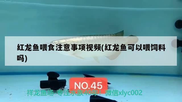 魚缸好的夸贊：魚缸設(shè)計(jì)如何提升家居品味 魚缸百科 第4張