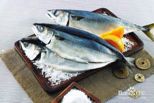 金龍魚(yú)蝴蝶鯉混養(yǎng)：金龍魚(yú)和蝴蝶鯉可以混養(yǎng)嗎？ 水族問(wèn)答 第2張