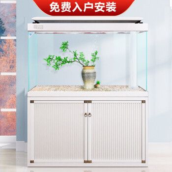 意牌魚缸質量怎么樣好用嗎：意牌魚缸價格對比其他品牌魚缸維護保養(yǎng)指南 魚缸百科 第3張