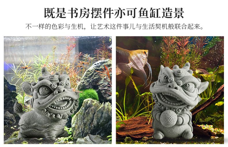 茶寵可以放魚缸里面嗎：茶寵可以放入魚缸中嗎 魚缸百科 第5張