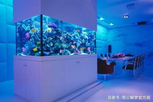 床邊放魚缸的害處：床邊放置魚缸的危害 魚缸百科 第3張