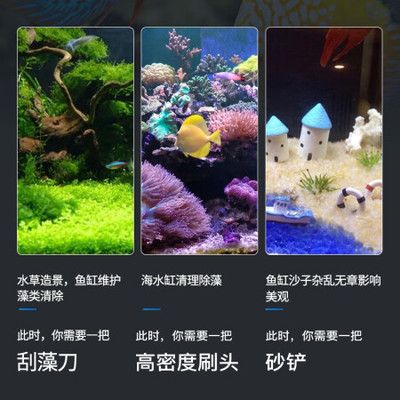 魚缸買啥樣的好：亞克力魚缸與玻璃魚缸的優(yōu)劣對比 魚缸百科 第4張