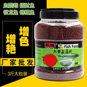 銀龍魚增色飼料喂食技巧：銀龍魚增色飼料品牌推薦 龍魚百科 第3張