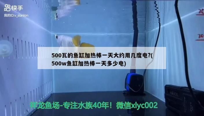 祥龍電器魚(yú)缸時(shí)間設(shè)置怎么調(diào)：祥龍電器魚(yú)缸定時(shí)功能介紹 魚(yú)缸百科 第5張