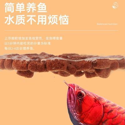 銀龍魚水質(zhì)監(jiān)控頻率：銀龍魚水質(zhì)監(jiān)控頻率應(yīng)根據(jù)水質(zhì)指標(biāo)的重要性和硬度 龍魚百科 第1張