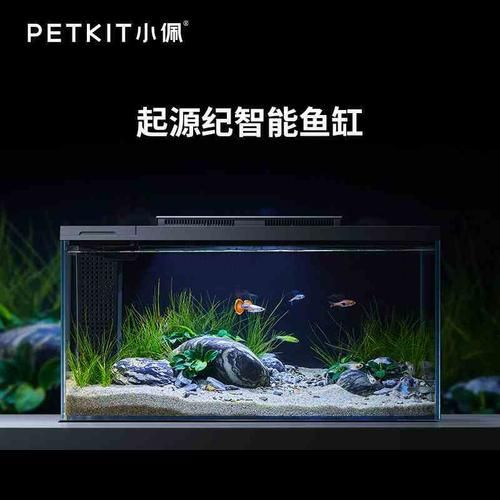 小佩魚(yú)缸pro不出氣泡怎么回事：小佩魚(yú)缸pro不出氣泡可能有多種原因及解決辦法