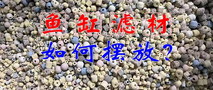 森森魚缸過濾材料布置：森森魚缸的過濾材料的選擇和布置 魚缸百科 第5張