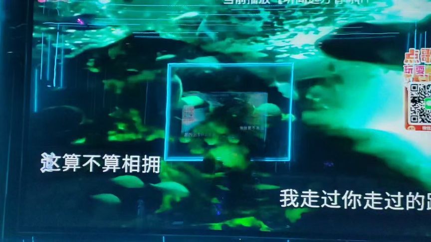 魚缸歌詞完整版：張韶涵《魚缸》歌曲mv 魚缸百科 第2張