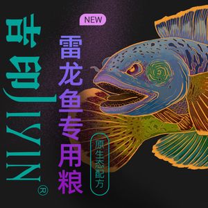 雷龍魚幼魚適宜的飼料選擇：雷龍魚幼魚適宜的飼料選擇及牌推薦 龍魚百科 第4張