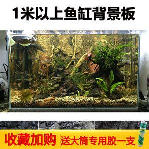 一米魚缸背景墻效果圖：一米高的魚缸背景墻裝飾元素推薦魚缸水景設(shè)計案例欣賞