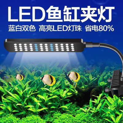 魚缸LED燈節(jié)能省電排行：節(jié)能省電的魚缸led燈 魚缸百科 第5張