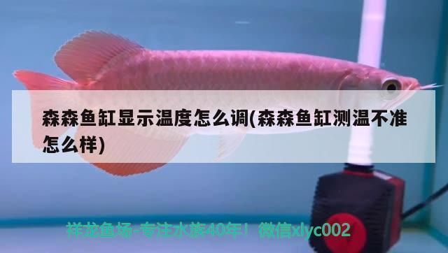 森森魚缸加熱棒怎么調(diào)溫度：森森魚缸加熱棒溫度如何調(diào)節(jié) 魚缸百科 第1張