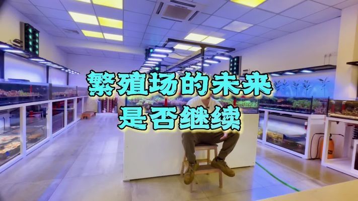 魚缸珊瑚的養(yǎng)殖方法視頻：珊瑚在魚缸中的養(yǎng)殖方法