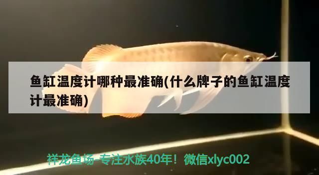 如何選擇合適的魚缸溫度計(jì)：選擇合適的魚缸溫度計(jì)是確保水族箱健康的關(guān)鍵步驟之一