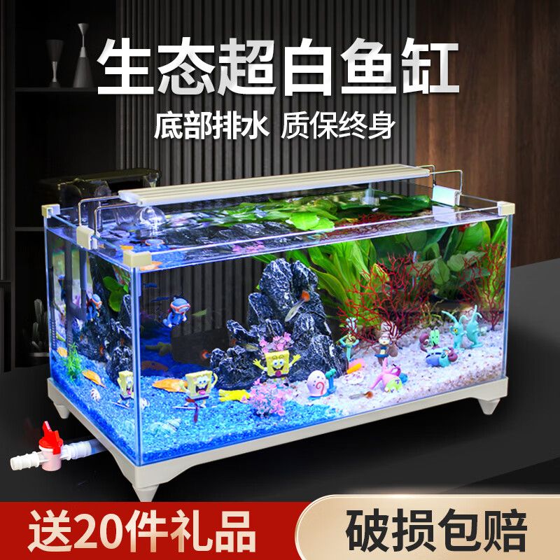 爬將軍魚缸 魚缸百科 第4張