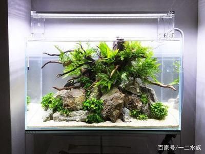 魚缸過濾器選擇指南：魚缸過濾器常見故障及解決魚缸過濾器常見故障及解決 魚缸百科 第4張