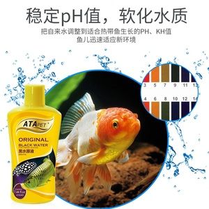 黑水素對紅龍魚的作用和功效是什么：如何自制黑水素改善魚缸環(huán)境，紅龍魚常見疾病的預(yù)防方法 龍魚百科 第2張