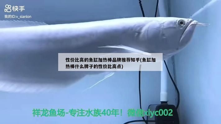 魚缸加熱棒品牌推薦：伊罕加熱棒適用魚種介紹松寶加熱棒適用魚種介紹 魚缸百科 第4張