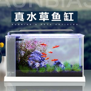 小魚(yú)未來(lái)智能魚(yú)缸：小魚(yú)未來(lái)智能魚(yú)缸優(yōu)勢(shì) 魚(yú)缸百科 第2張