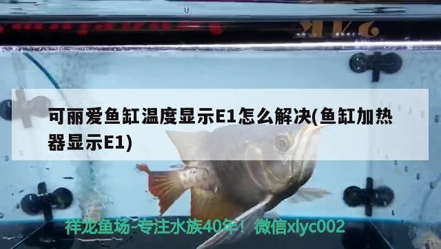 魚缸加熱器e1：魚缸加熱器e1故障如何預防 魚缸百科 第2張