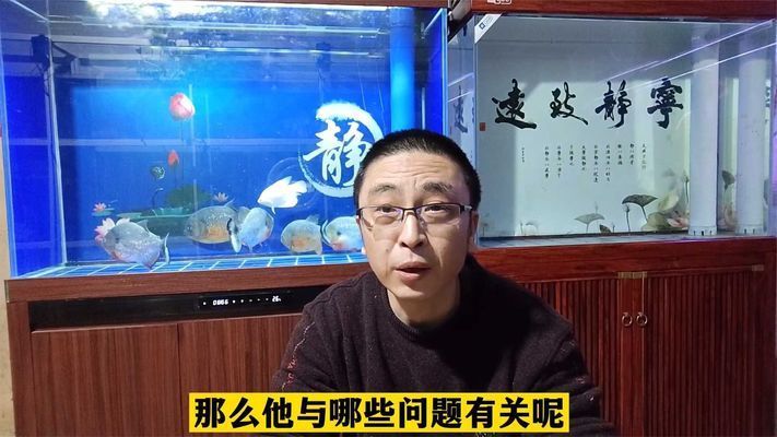 什么樣的魚缸容易爆：如何避免魚缸爆炸 魚缸百科 第1張