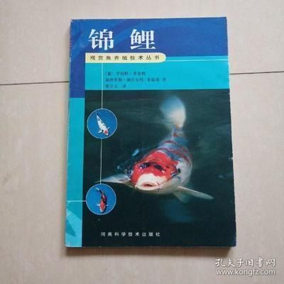 祥龍水族館培訓(xùn)內(nèi)容介紹：祥龍水族館培訓(xùn)學(xué)校 龍魚百科 第2張