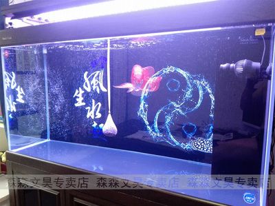 森淼魚缸使用說明書：如何獲取森淼魚缸使用說明書 魚缸百科 第5張