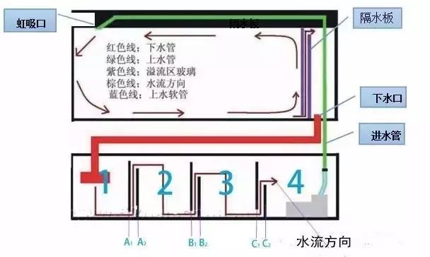 魚(yú)缸虹吸原理圖解大全：魚(yú)缸虹吸原理圖解 魚(yú)缸百科 第3張