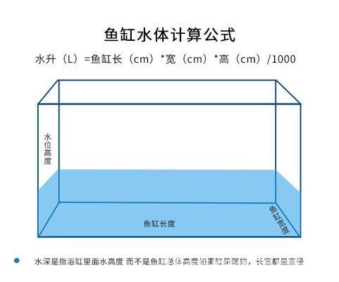 龍魚魚缸水位多少合適呢：龍魚魚缸水位高度應該控制在30-50厘米之間 龍魚百科 第5張