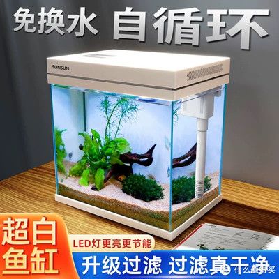 水族魚缸排名：常見的水族魚缸排名 魚缸百科 第5張