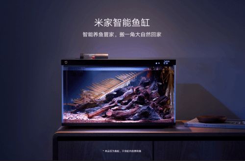 小米魚缸童鎖怎么關(guān)：如何解除小米魚缸的童鎖 魚缸百科 第4張