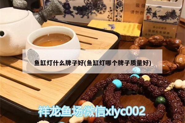 魚缸燈哪個品牌耐用 論壇：耐用且性能卓越的魚缸燈品牌 魚缸百科 第1張