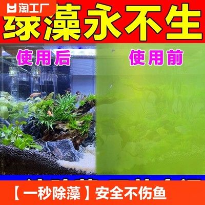 魚(yú)缸除藻劑的使用方法：如何自制魚(yú)缸除藻劑，魚(yú)缸除藻劑對(duì)魚(yú)的影響 魚(yú)缸百科 第3張