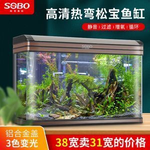 一米的魚缸多少錢：一米的魚缸價格是多少 魚缸百科 第3張