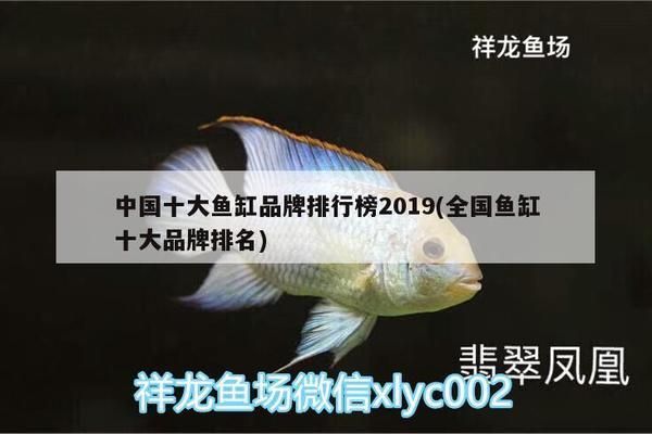 全國魚缸排行榜：全國水族箱品牌排名 魚缸百科 第4張