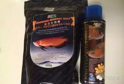 紅龍魚飼料維生素添加指南：紅龍魚維生素補(bǔ)充劑 龍魚百科 第4張