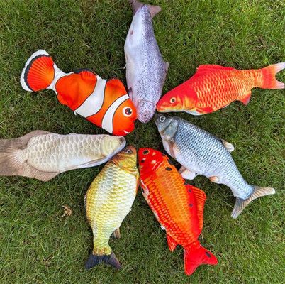 紅龍魚魚苗批發(fā)：廣州觀賞魚批發(fā)市場指南紅龍魚魚苗市場價格趨勢 紅龍魚百科 第4張