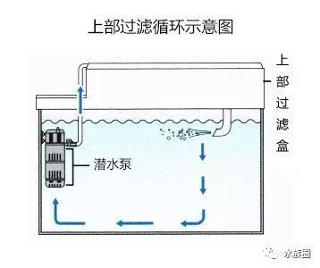 魚(yú)缸過(guò)濾器的安裝方法視頻：如何正確安裝魚(yú)缸過(guò)濾器 魚(yú)缸百科 第4張